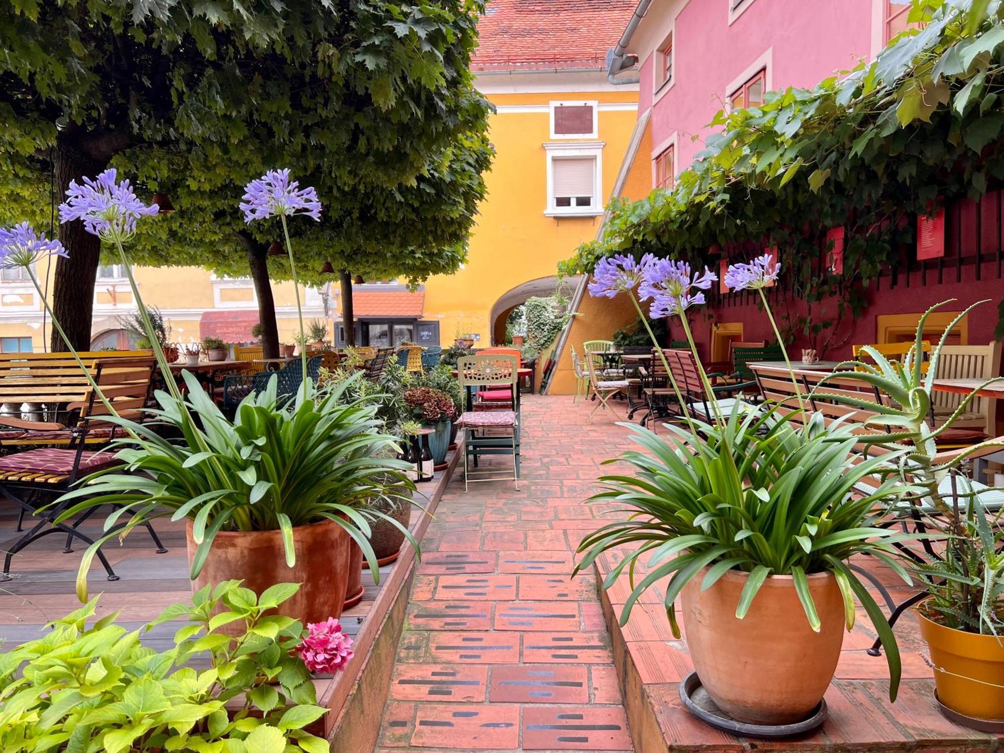 Muzikafe - Home Of Culture Ptuj Eksteriør billede